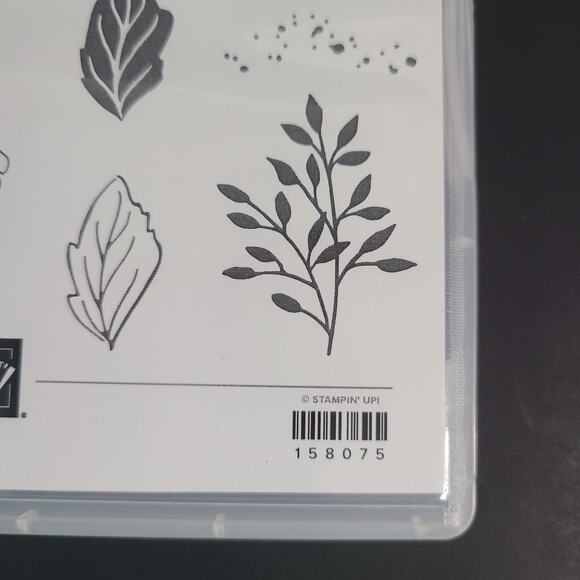 Stampin Up Friendly Hello Bundle Stamp Set & 12x12 Designer Series Paper DSP - Picture 6 of 10